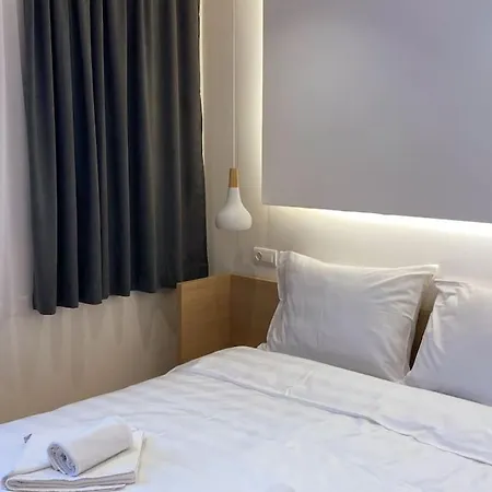 Dream Forrest 405 Zlatni Javor *