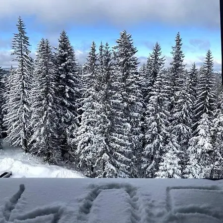 Dream Forrest 405 Zlatni Javor יהורינה