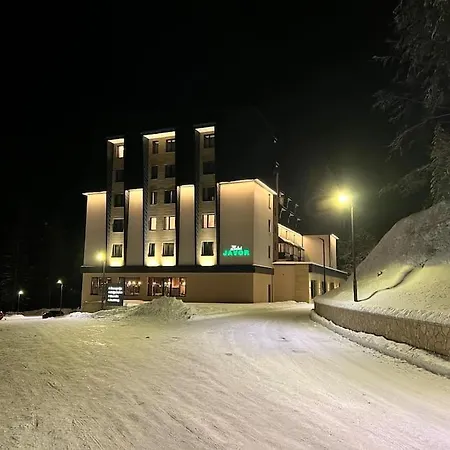 Dream Forrest 405 Zlatni Javor