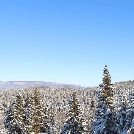 Dream Forrest 405 Zlatni Javor * יהורינה