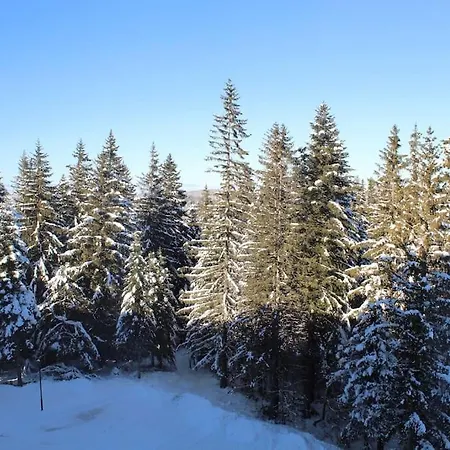 Dream Forrest 405 Zlatni Javor Apartment Jahorina